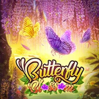 regulamentação casa de apostas 