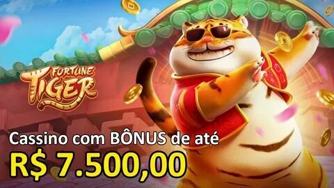 sa bet sport 