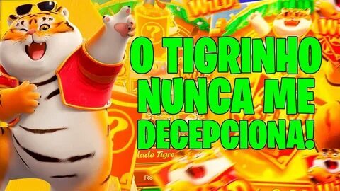 samba cassino plataforma 