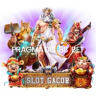 virgínia gravida 